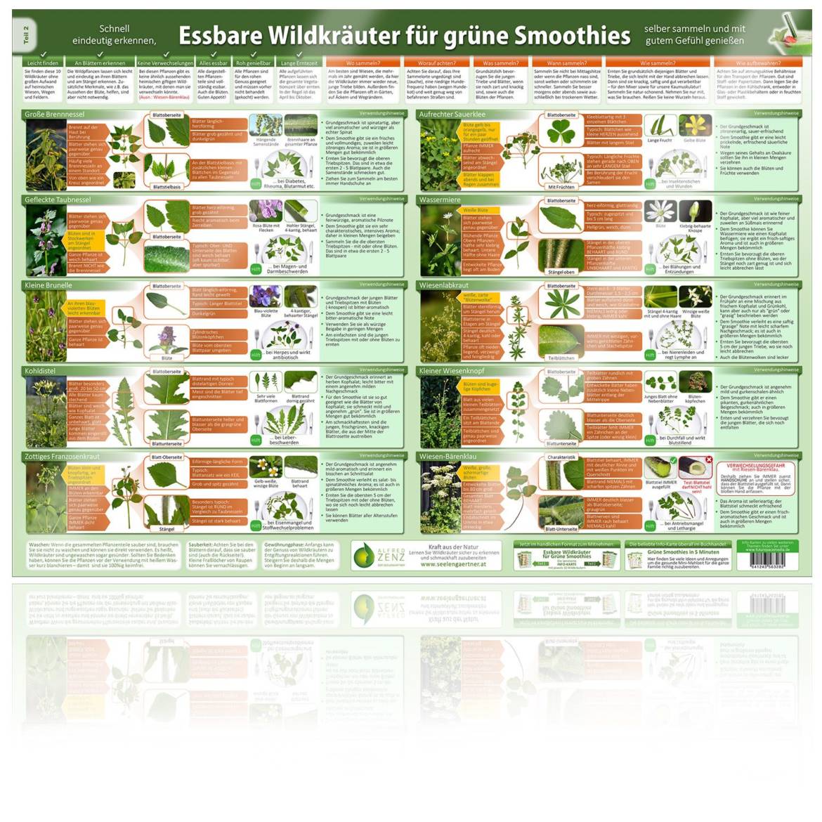 Poster-Cover-Essbare-Wildkraeuter-Teil-2-.jpg