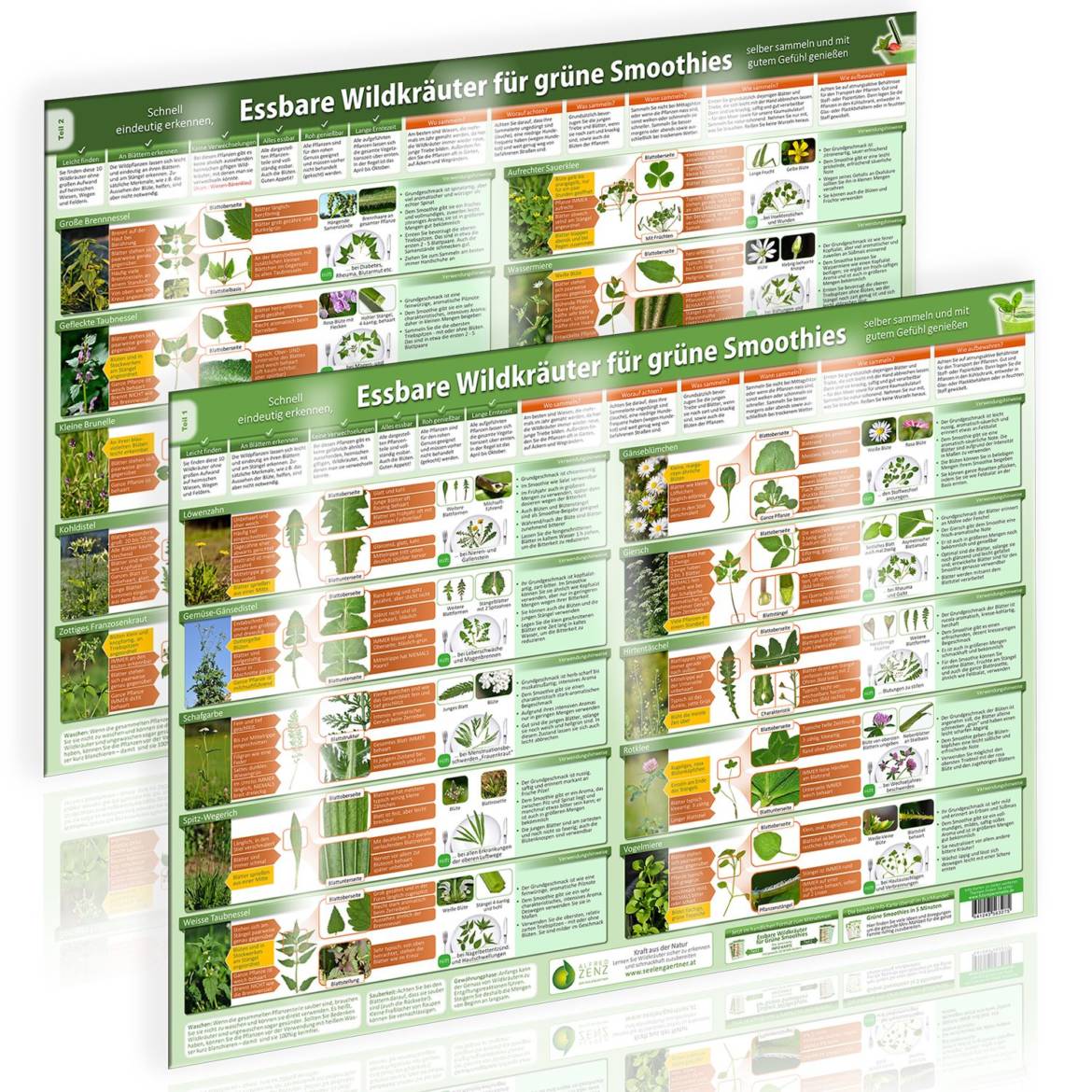 Poster-Set-Cover-Essbare-Wildkraeuter-Teil-1-und-2-und-.jpg